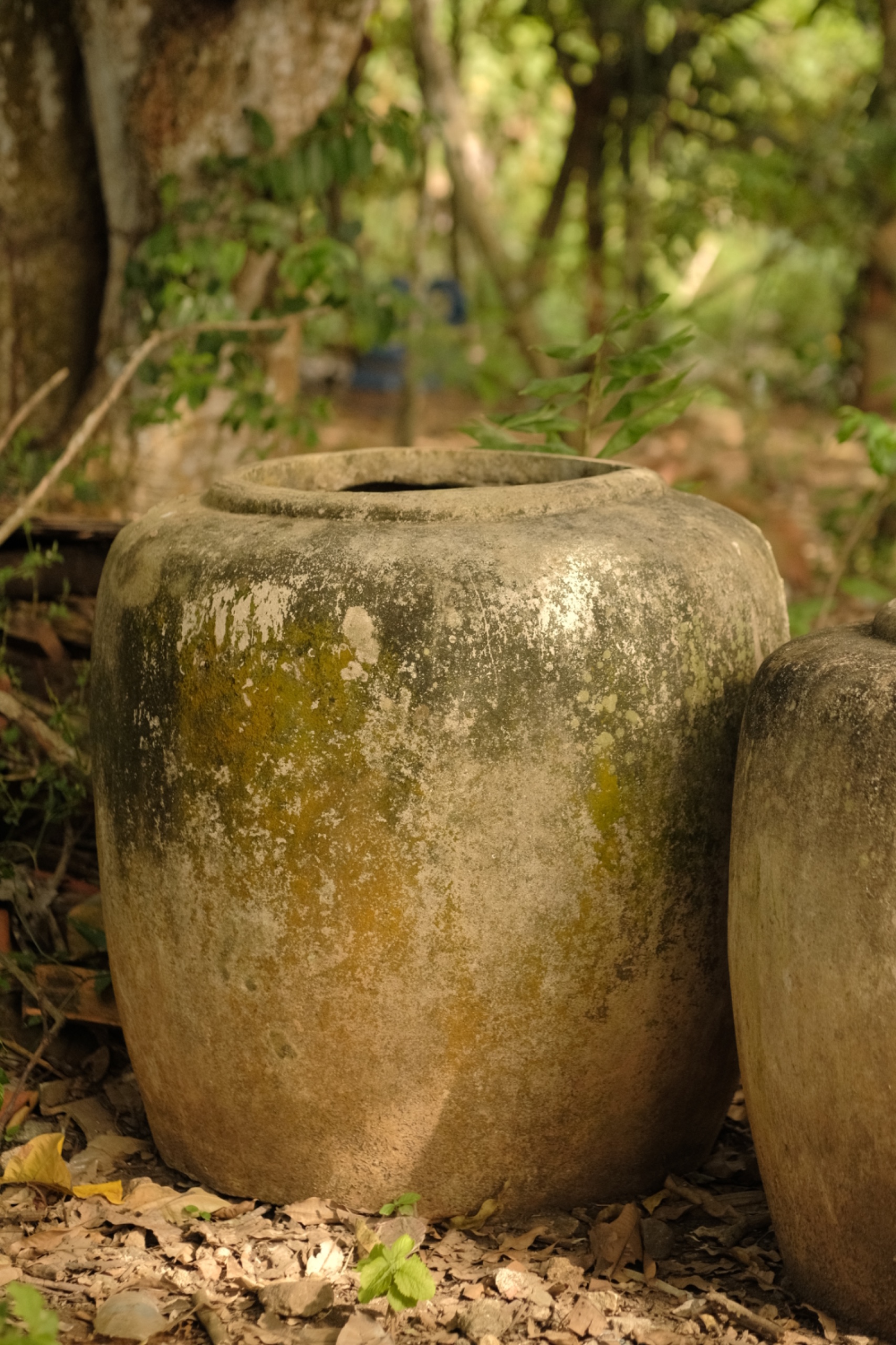 Vintage Maduranese Pots